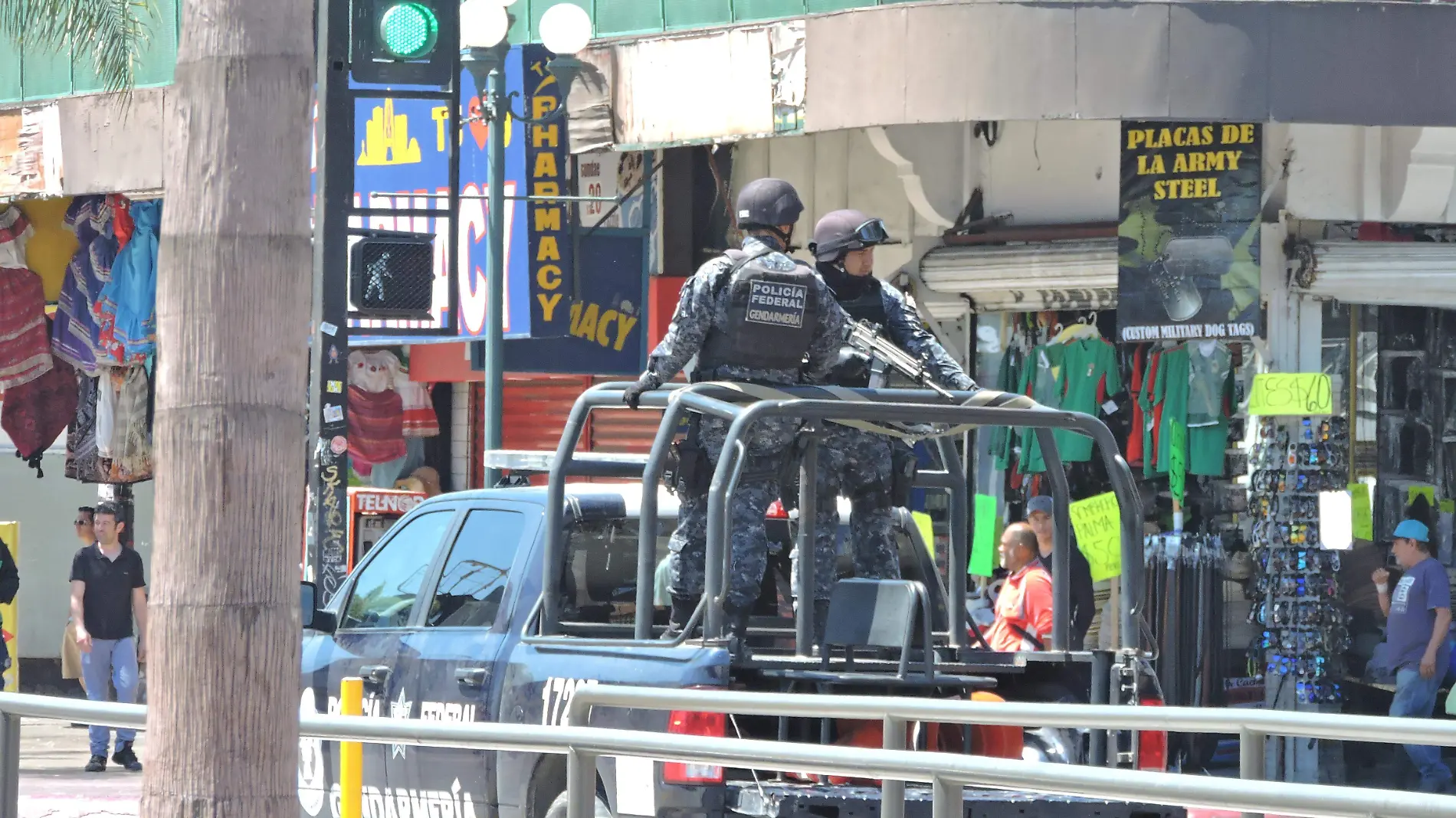 VIGILANCIA POLICIA FEDERAL (2)